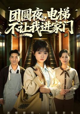 2026最新电视剧团圆夜，电梯不让我进家门