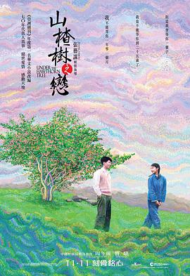 张艺谋导演电视剧山楂树之恋2010